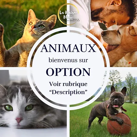 Apartman La Maison Bleue, Un Emplacement De Choix A Rodez